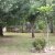 campingyuste (76)